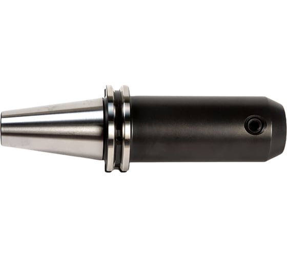 Изображение товара Оправка ISO40 DIN69871 WELDON H100 D10 PAGNONI 140WE210