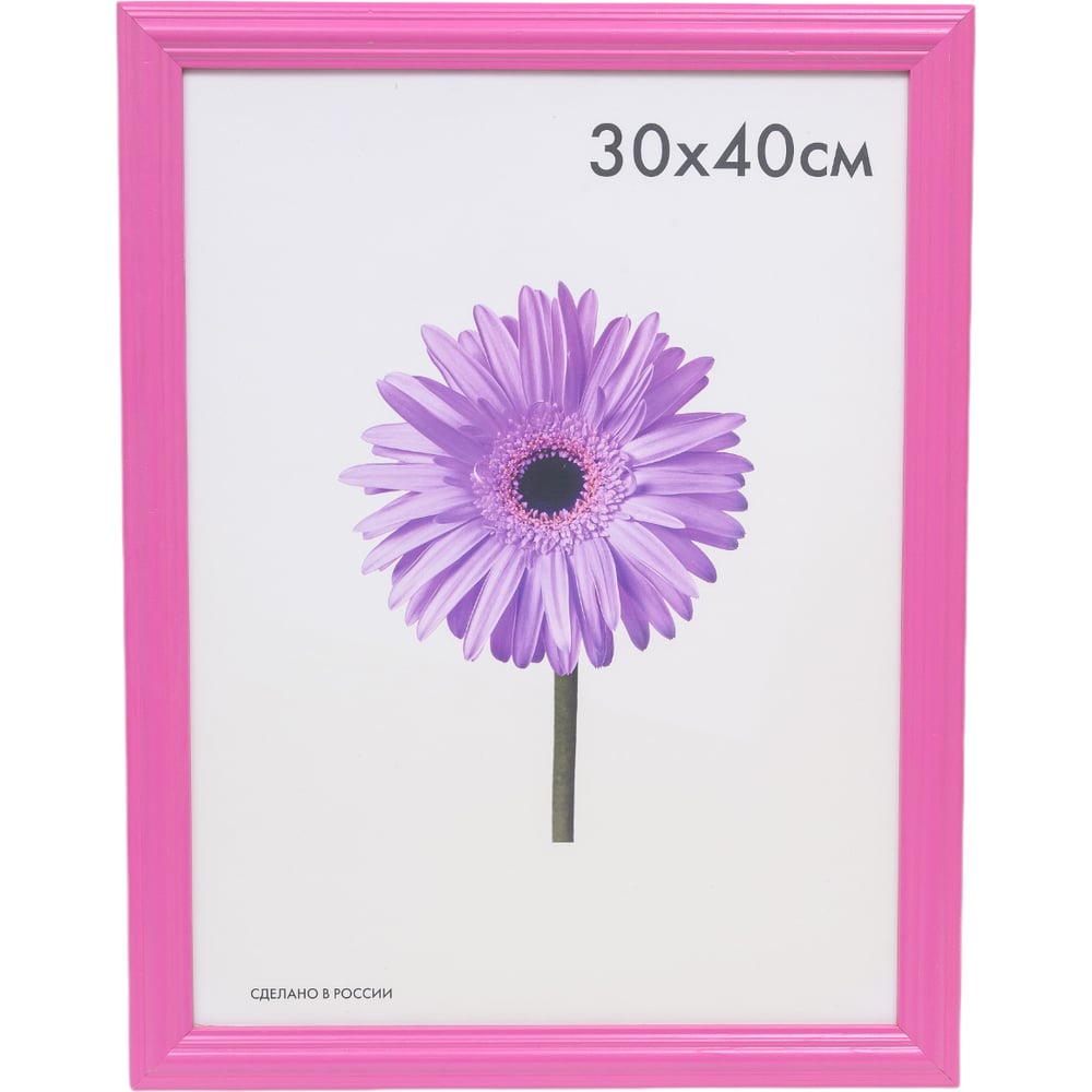 Изображение товара Деревянная рамка ООО Изометрика Linda 30x40 см малиновая 0065-15-0020