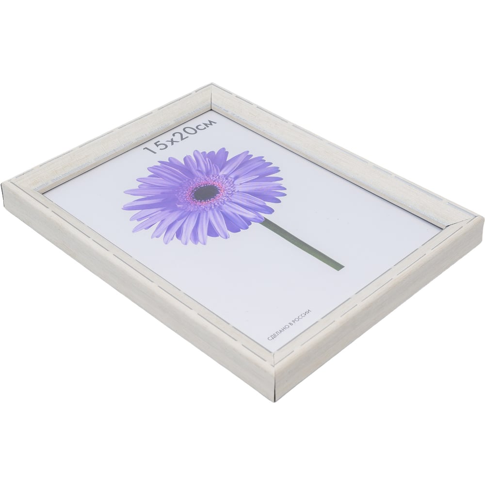 Пластиковая рамка ООО Изометрика Viola 0118-6-4509