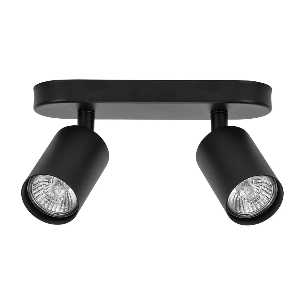 Изображение товара Спот ARTE LAMP AQUARIUS A3226PL-2BK