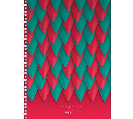 Изображение товара Тетрадь Hatber с твердой обложкой 96 листов формат А4 клетка глянцевая ламинация на гребне 059098