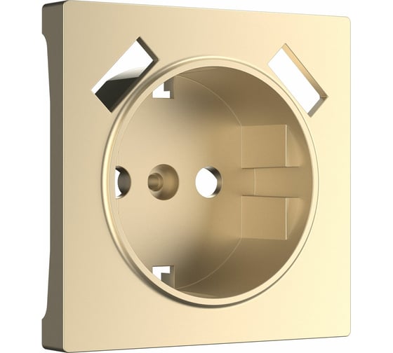 Изображение товара Накладка для розетки USB WERKEL W1179511 шампань a050854