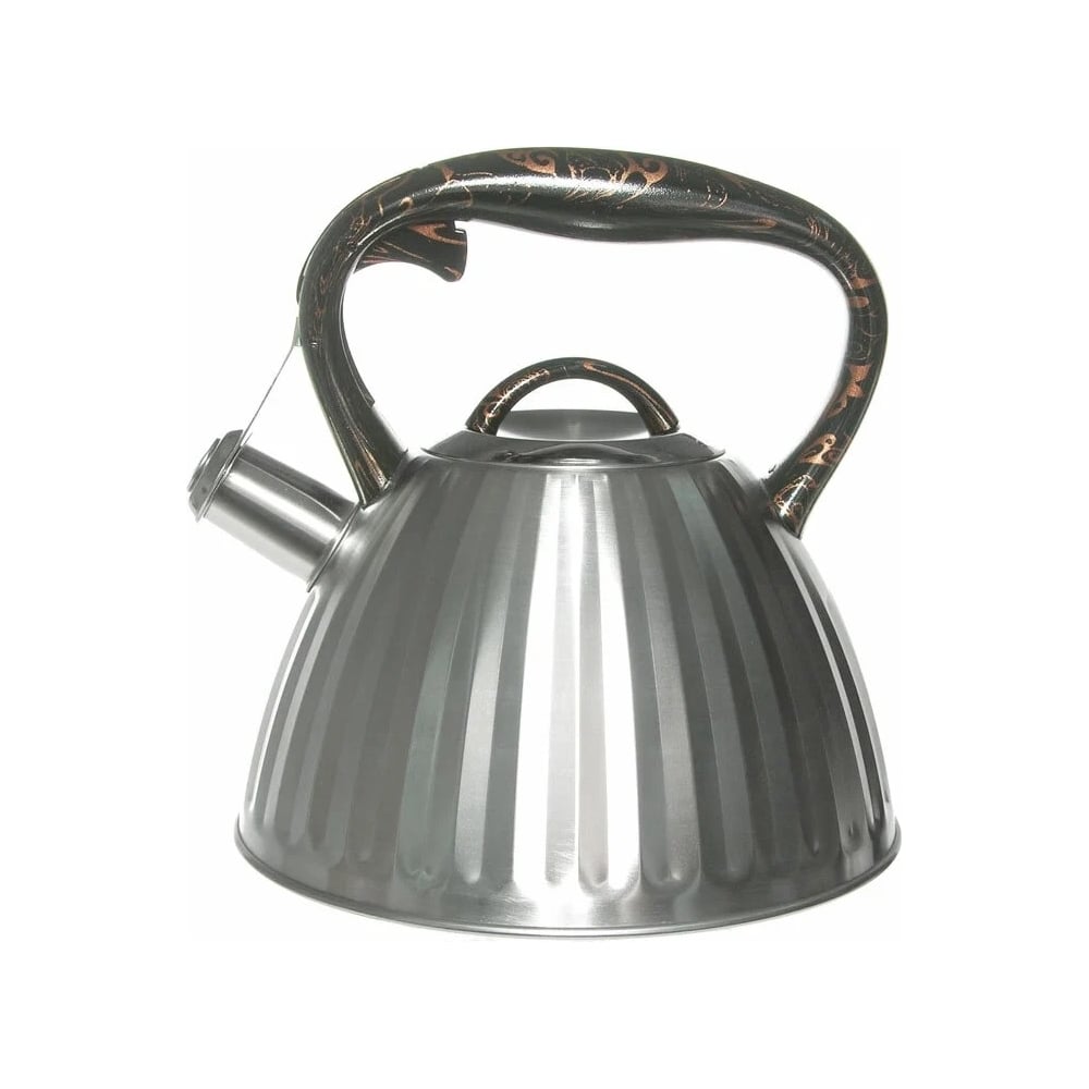 Металлический чайник Rainstahl, цвет серебро