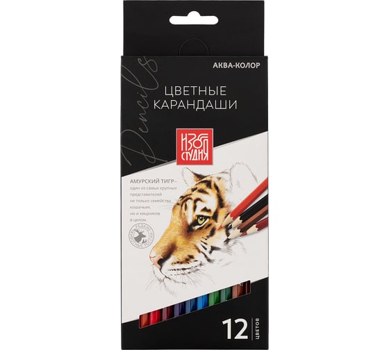 Изображение товара Набор цветных карандашей Аква-колор заточенные 8 шт х 12 цветов 626223
