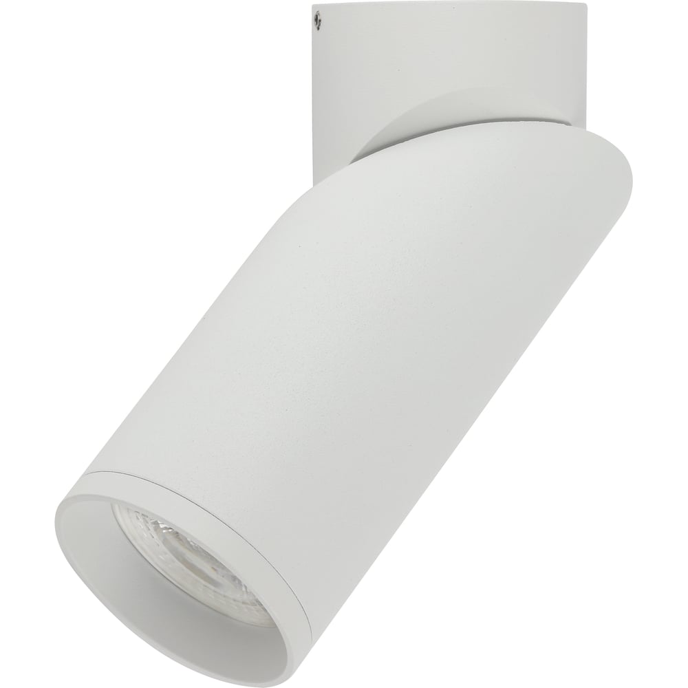 Настенно-потолочный светильник ЭРА модуль светодиодный apeyron для настенно потолочного светильника 260 мм 220в 20вт холодный белый свет