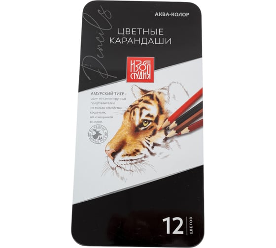 Изображение товара Набор цветных карандашей Аква-колор заточенные 2 шт х 12 цветов в металлической коробке 665827