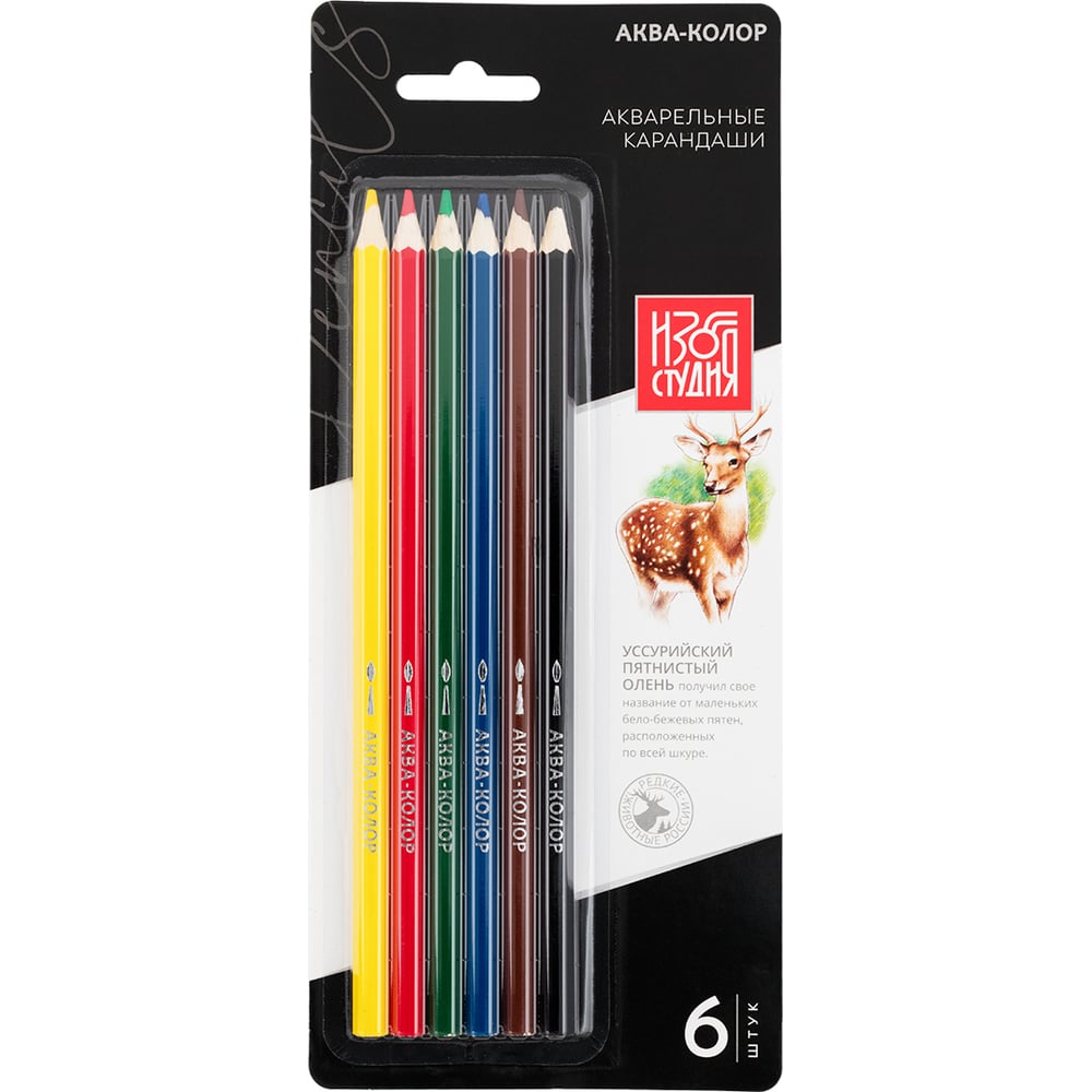 Набор акварельных карандашей Аква-колор заточенные 10 шт х 6 цветов 626234