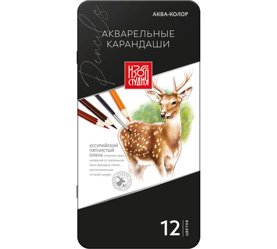 Изображение товара Набор акварельных карандашей Аква-колор заточенные 2 шт х 12 цветов в металлической коробке 665829