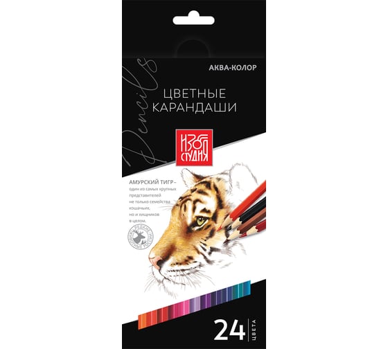 Изображение товара Набор цветных карандашей Аква-колор заточенные 4 шт х 24 цвета 626233