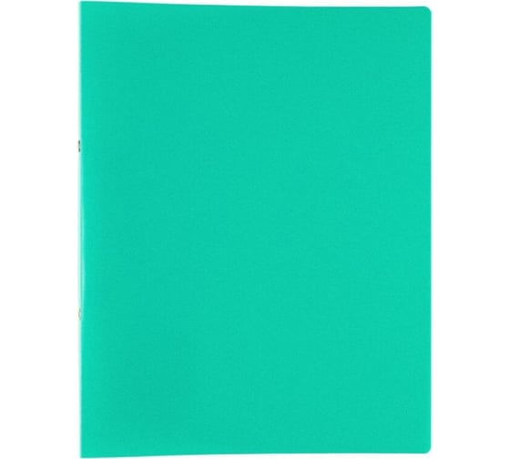 Изображение товара Папка Expert Complete на 2 О-кольцах A4 450 мкм, 25 мм, песок, d - 20 мм, зеленый уп. 4шт. 605715