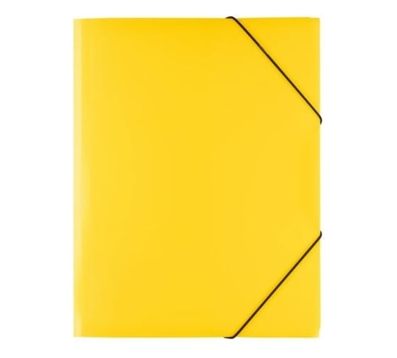 Изображение товара Папка Expert Complete на резинке, A4, 450 мкм, 35 мм, песок, желтый, уп. 5шт. 605538