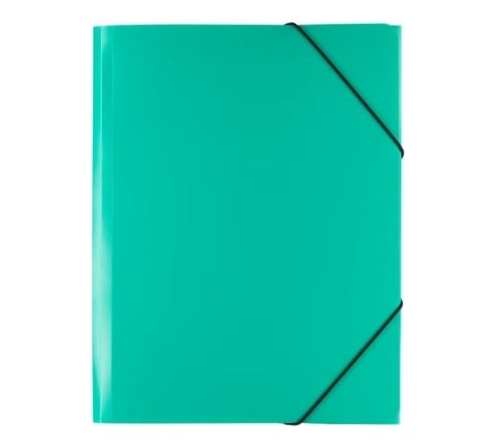 Изображение товара Папка Expert Complete на резинке, A4, 450 мкм, 35 мм, песок, зеленый, уп. 5 шт. 605717