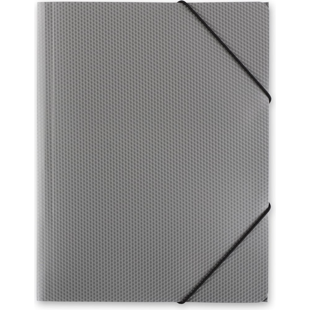 Изображение товара Папка Expert Complete на резинке A4 35 мм серебряная уп. 5 шт