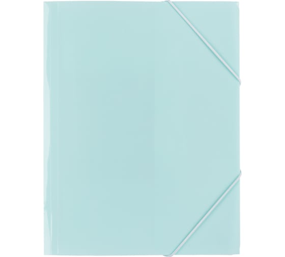 Изображение товара Папка Expert Complete на резинке A4, 600 мкм, 35 мм, диагональ, бирюзовый уп. 5 шт. 605699