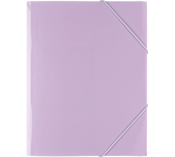 Изображение товара Папка Expert Complete на резинке, A4, 600 мкм, 35 мм, диагональ, лиловый, уп. 5шт. 605698