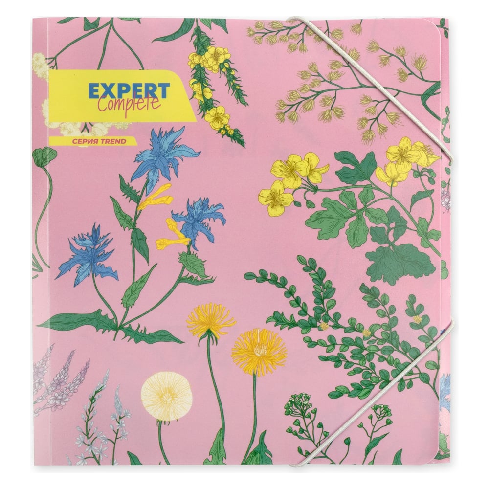 Изображение товара Папка Expert Complete на резинке A5 450 мкм песок 6 шт