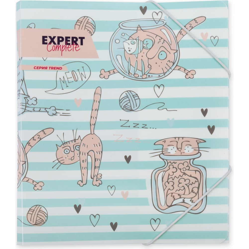 Изображение товара Папка Expert Complete на резинке A5, 450 мкм, песок №02 - Кот, уп. 6 шт.