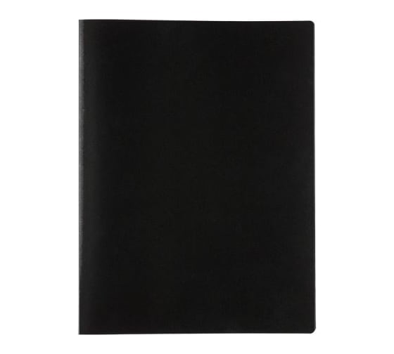 Изображение товара Папка Expert Complete с файлами-вкладышами, 20 л., A4, 450 мкм, 15 мм, песок, черный уп. 6шт. 605602