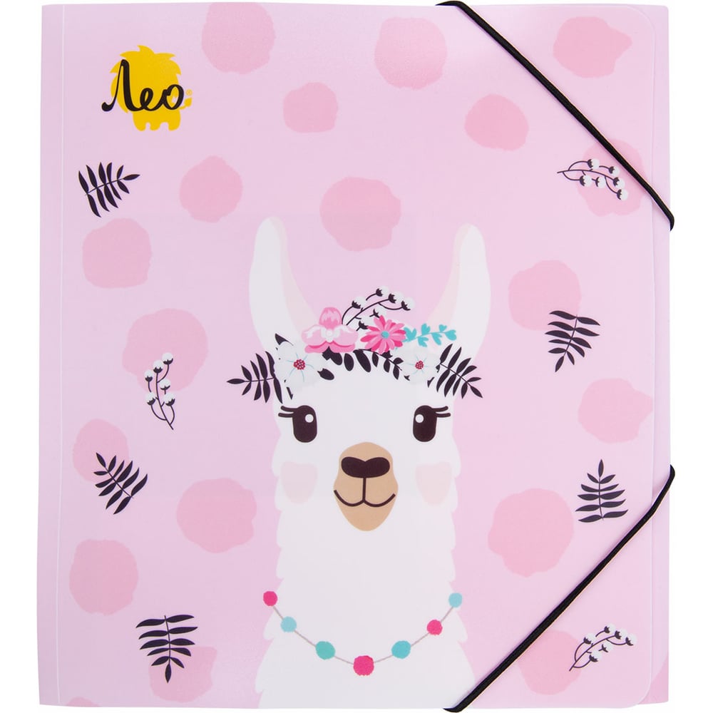 Изображение товара Папка на резинке Лео Учись A5 450 мкм разноцветная