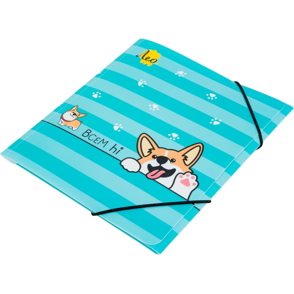 Изображение товара Папка на резинке Лео Учись A5 450 мкм разноколірна 6 шт