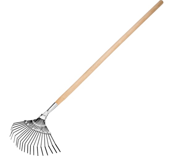 Изображение товара Веерные грабли с черенком, 20 зубьев, 1250 мм СИБРТЕХ 61779