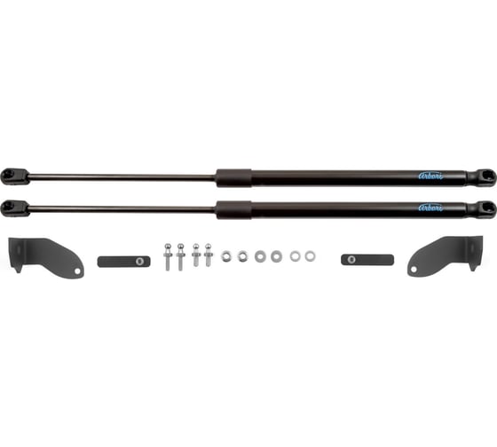 Изображение товара Упоры капота для HAVAL Jolion, 2021-, 2 шт ARBORI HD.055103