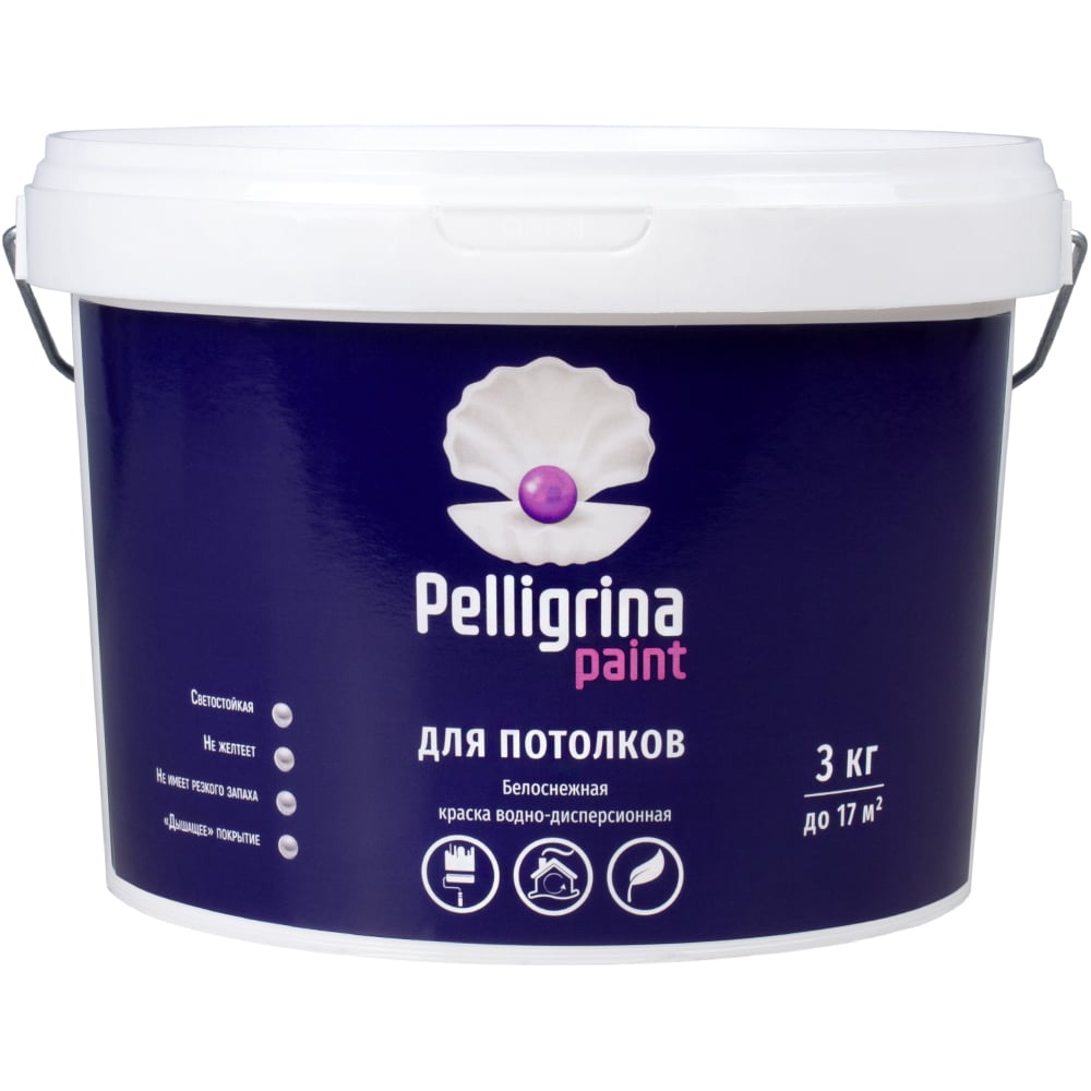     PELLIGRINA PAINT