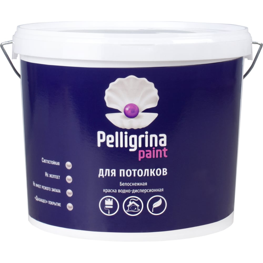     PELLIGRINA PAINT