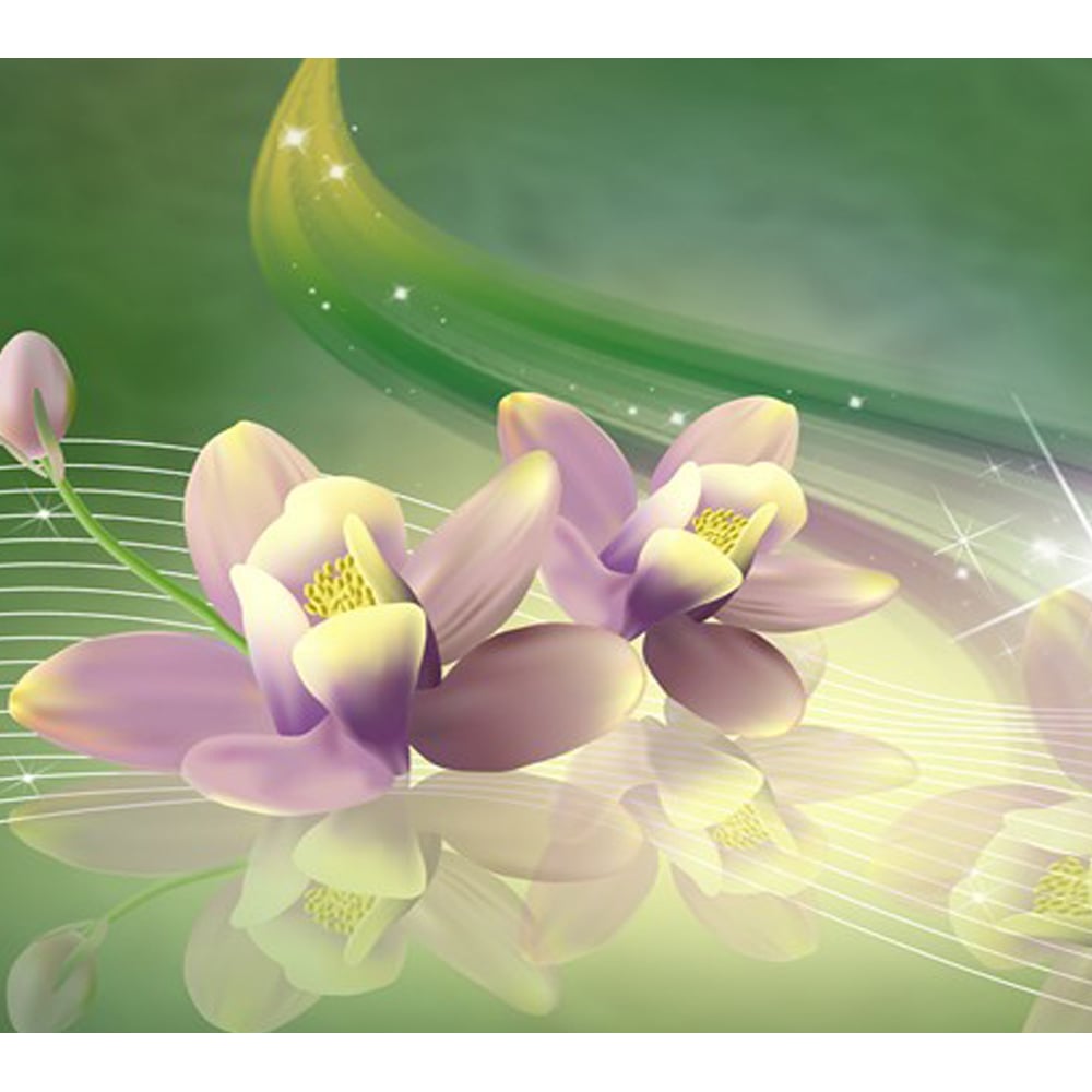 Фотообои Студия фотообоев лилии азиатские форевер саммер луковица 16 18