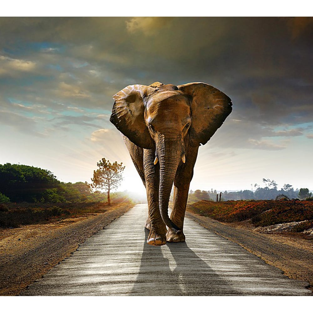 Фотообои Студия фотообоев статуэтка слон