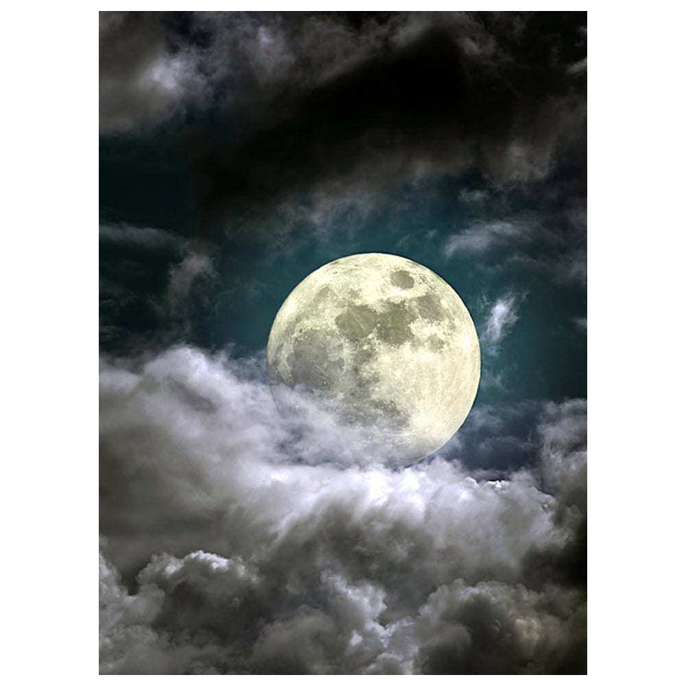 Фотообои Студия фотообоев маленькая луна столяров а