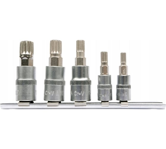 Изображение товара Набор головок-бит SPLINE 1/4" М5, М6 3/8" М8, М10, М12 5 предметов на металлической планке YATO YT-04360