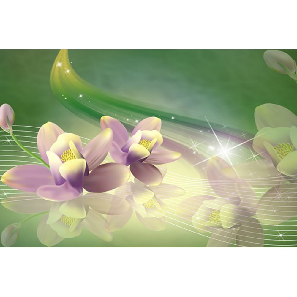 Фотообои Студия фотообоев лилии азиатские форевер саммер луковица 16 18