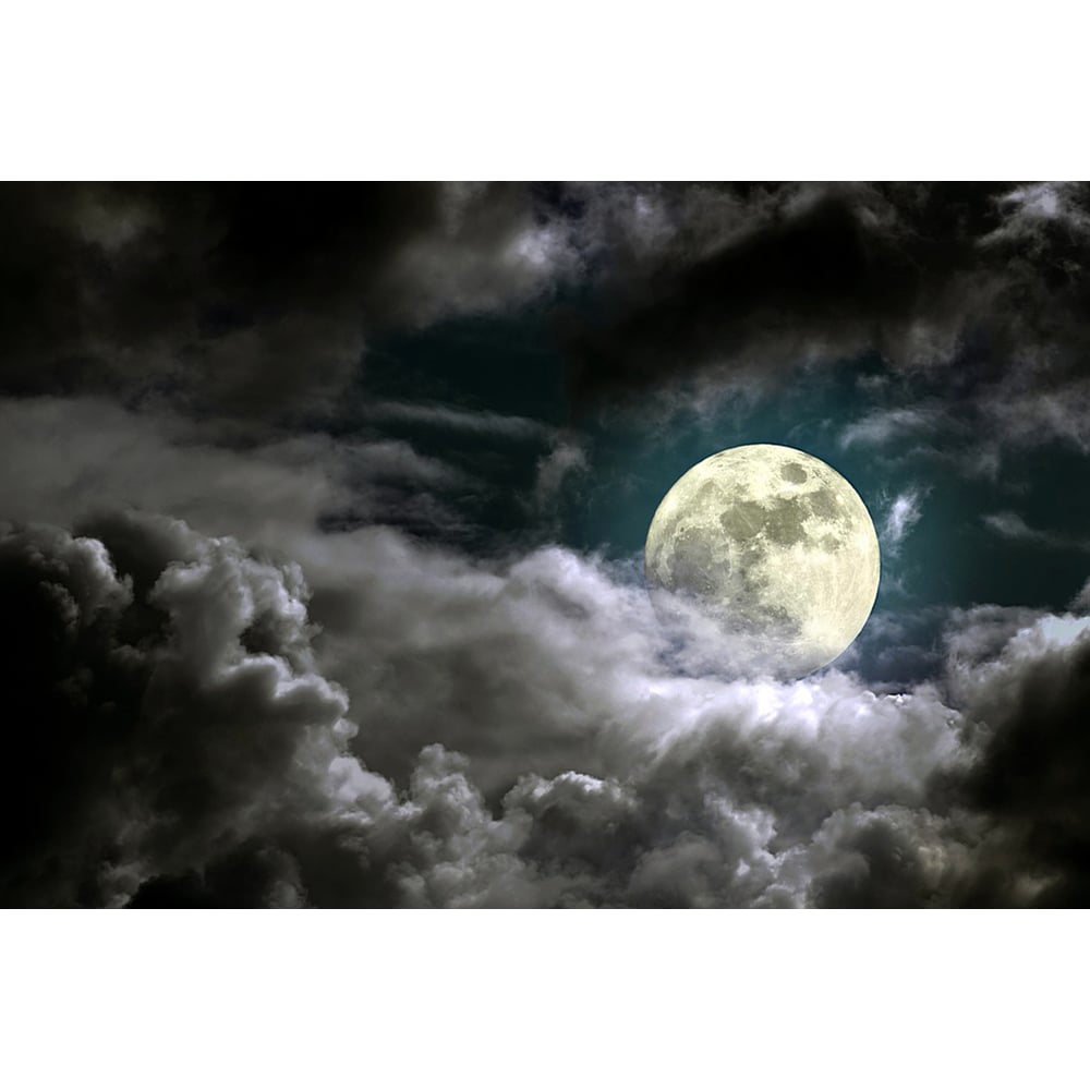 Фотообои Студия фотообоев маленькая луна столяров а