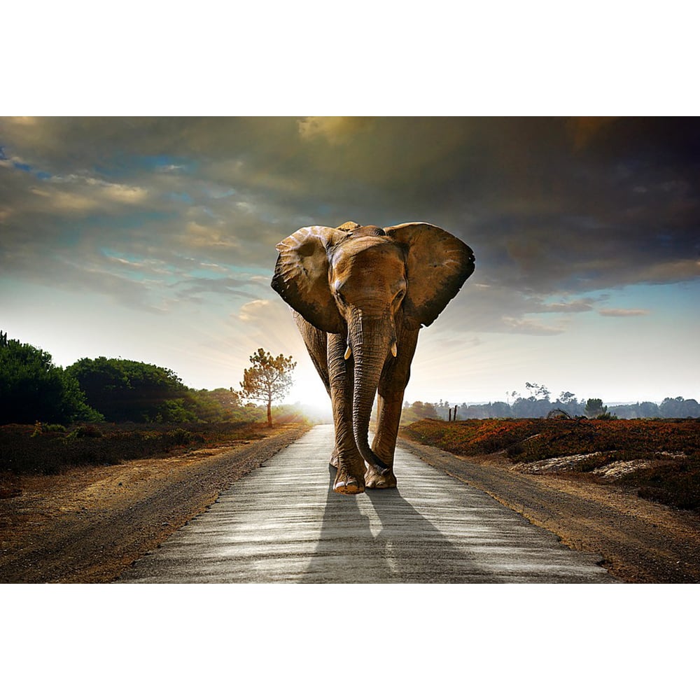 Фотообои Студия фотообоев статуэтка слон