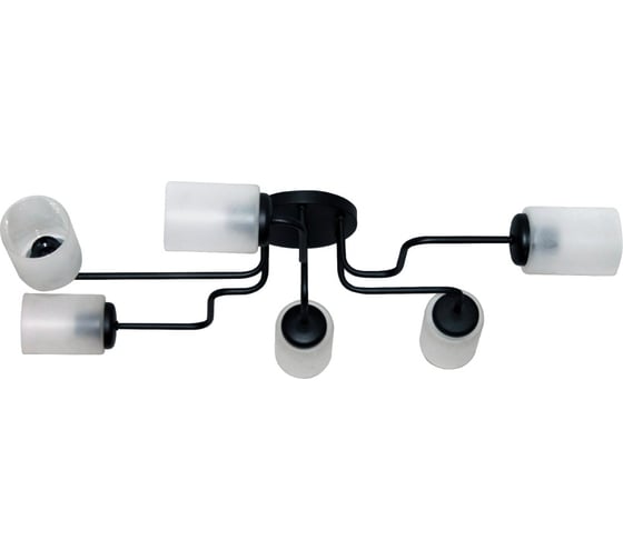 Изображение товара Светильник ЭЛЕТЕХ Техно 162 черный  (Плафон 8461) НСБ 01-6x60-114 Е27 ИУ 1005404589