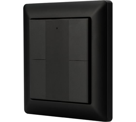 Изображение товара Панель Arlight INTELLIGENT DALI-223-4K-D2-IN-BLACK 0 32502
