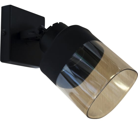 Изображение товара Потолочный светильник ЭЛЕТЕХ Марш 111 черн. муар НПБ 01-60-106 Е27 ИУ 1005404965