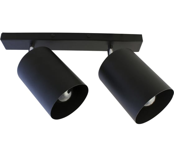 Изображение товара Светильник ЭЛЕТЕХ Спот НПБ 01-2x60-513 черный матовый/черный ИУ 1005404519
