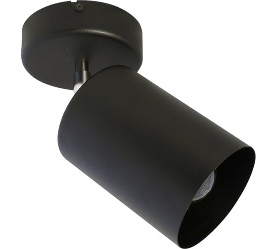 Изображение товара Светильник ЭЛЕТЕХ Спот НПБ 01-60-513 черный матовый/черный ИУ 1005404518