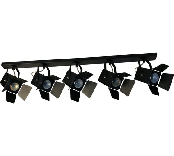 Изображение товара Светильник ЭЛЕТЕХ Кино НПБ 01-5x60-515 черный матовый/черный ИУ 1005404542