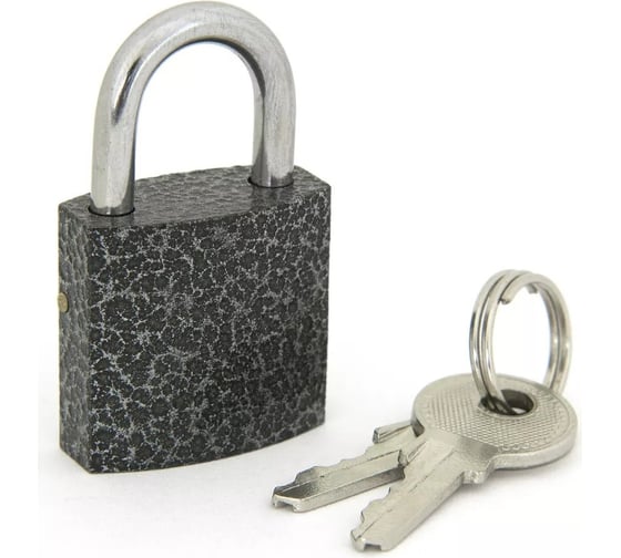 Изображение товара Навесной замок Palladium 303F-25 00009262