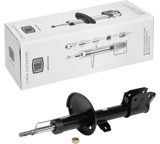 Изображение товара Амортизатор передний для автомобиля Renault Arkana TRIALLI AG 09065