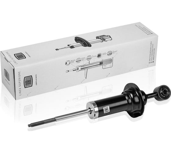 Изображение товара Амортизатор передний для автомобиля Nissan Pathfinder TRIALLI AG 14066