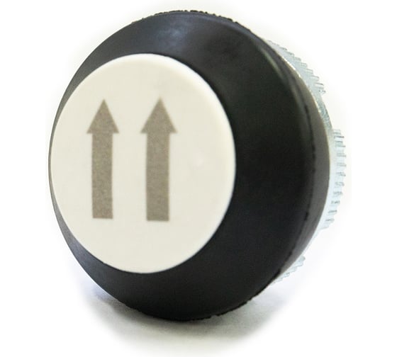 Изображение товара Кнопка GIOVENZANA белая, двойная, скорость, 2 стрелки вверх PLN013