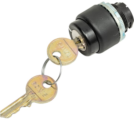 Изображение товара Переключатель с ключом GIOVENZANA ( 1--0--2 ) PL006002