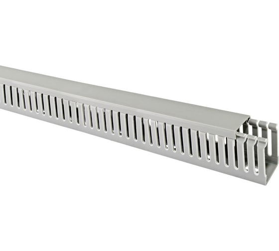Изображение товара Перфорированный кабель-канал TDM ELECTRIC 25x80 мм, перфорация 4/6 мм, 20 м SQ0410-0017