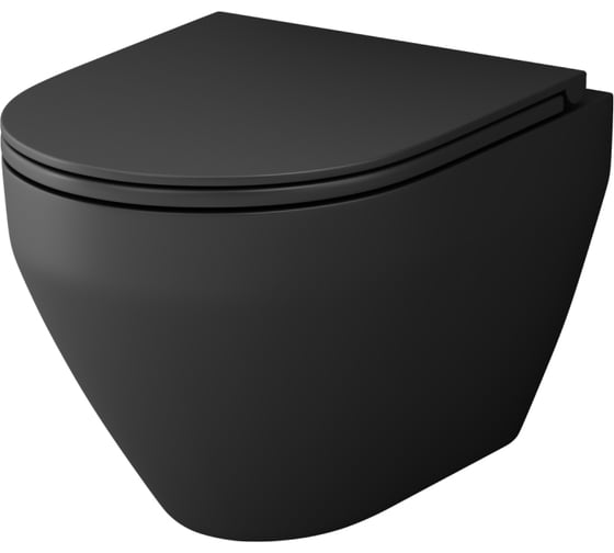 Изображение товара Подвесной унитаз AM.PM Spirit V2.0 FlashClean с сиденьем микролифт, черный матовый C701700MBSC