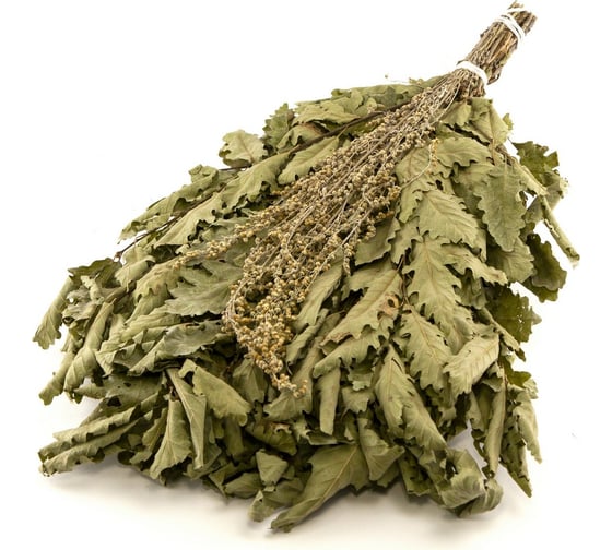 Изображение товара Дубовый веник с полынью Банная линия 10-672