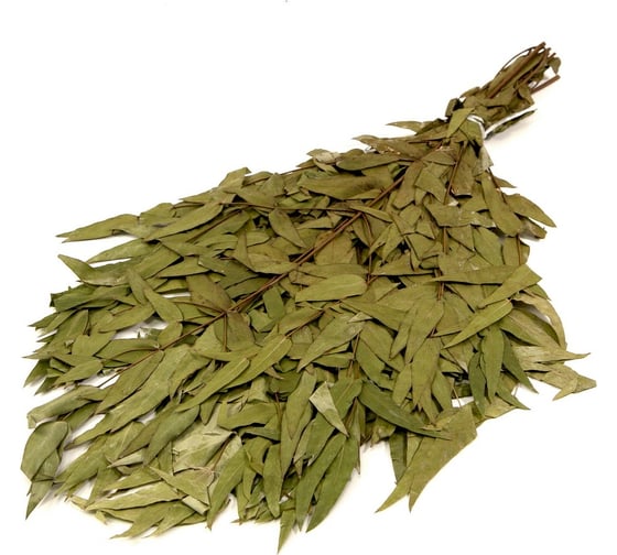 Изображение товара Эвкалиптовый веник Банная линия 10-666